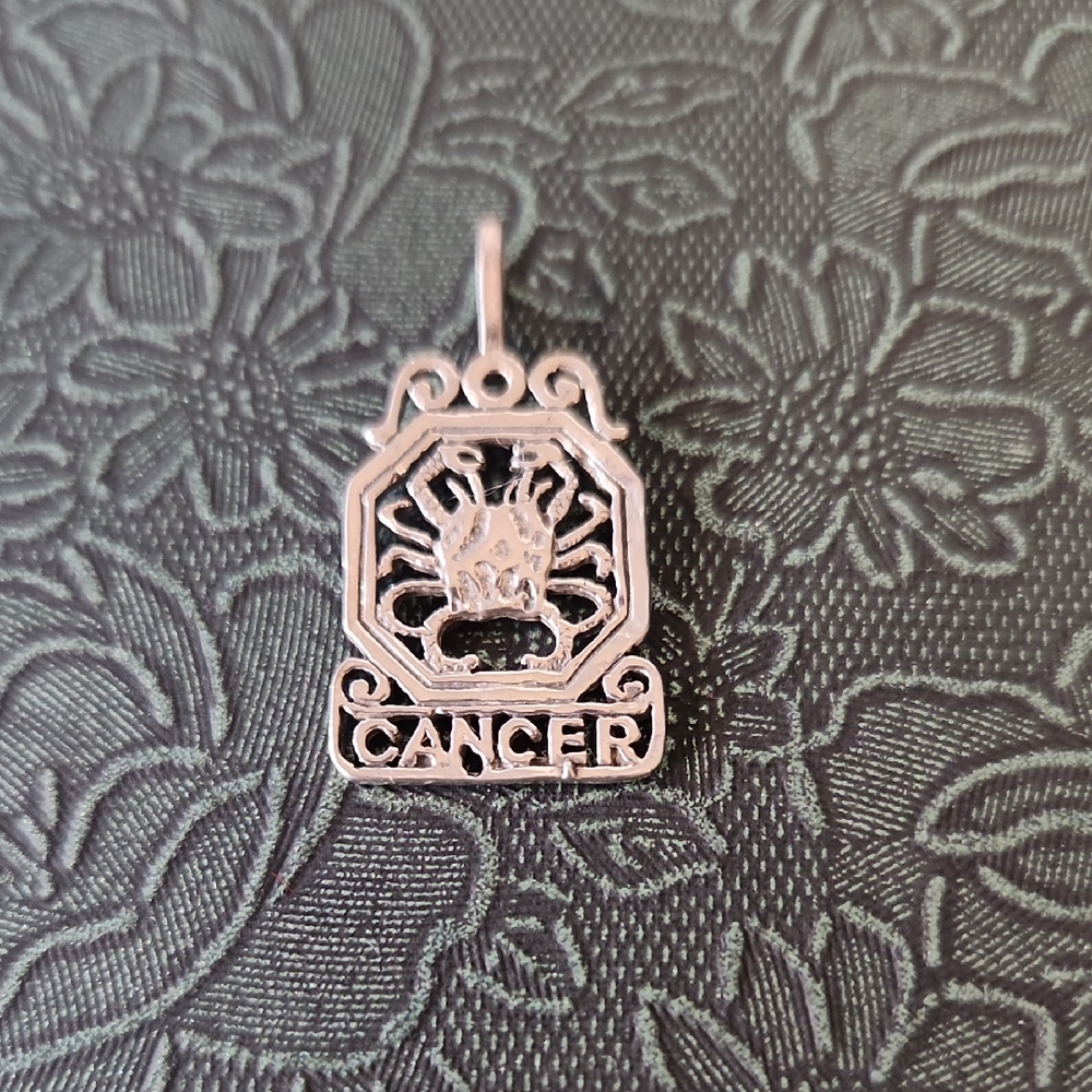 .925 Silver Cancer Zodiac Pendant / Charm
